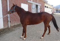 ������ (MAY CHARM) ����