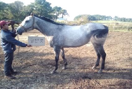 ���ϵ�Ĺ ����