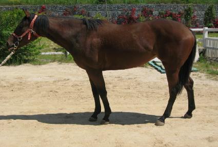 �������� ����