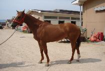 �츮�鿵�� (URIDEUL YEONGGWANG) ����