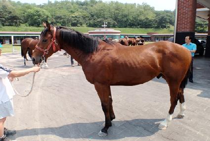 ������ ����