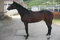 ĥ������ (CHILSEONG SEONGGUN) ����