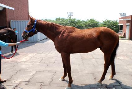 �����һ� ����