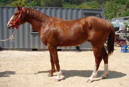 �帲���� ����