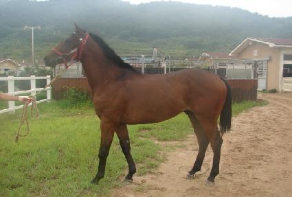 ��ĭ ����