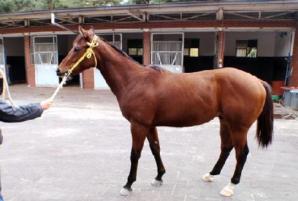 ������ ����