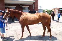 �̼�õ�� (MISOCHEONGUK) ����