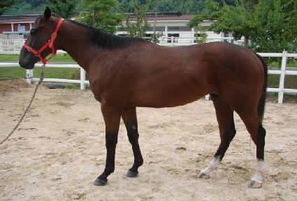 �������� ����