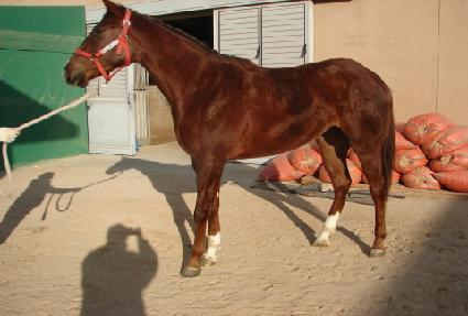 �ڵ� ����