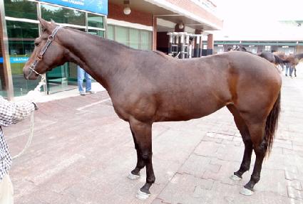 �����ʷ� ����