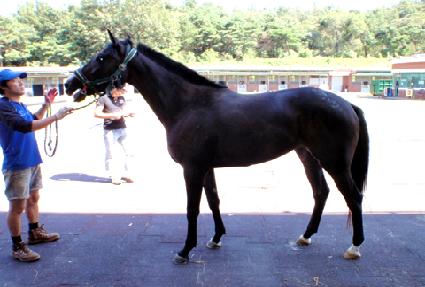 �ʽ����� ����