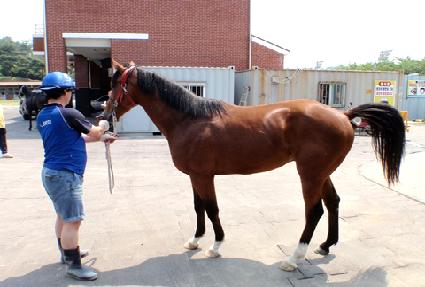 �μ��屺 ����