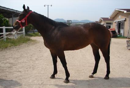 ���Ϳ�� ����