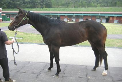 �ΰ� ����