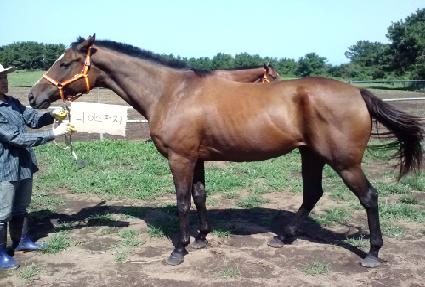 ���̽���ġ ����