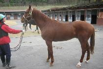 ��������� (MYEONGGAUIHUIMANG) ����