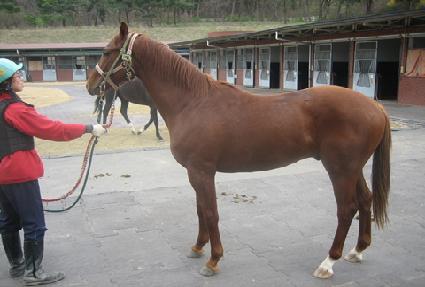 ��������� ����