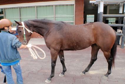 ȭ�꿬�� ����