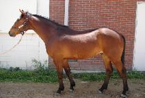 ��Ʈ����ũ (CENTRAL PARK) ����