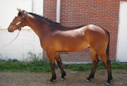 ��Ʈ����ũ ����