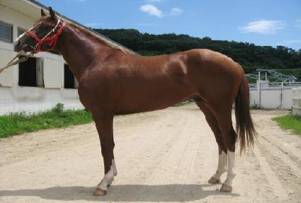 è�Ǿ�Ʈ ����