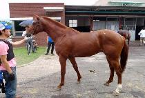 �����Ʈ (MOVEMENT) ����