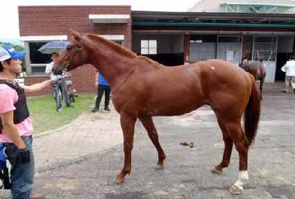 �����Ʈ ����