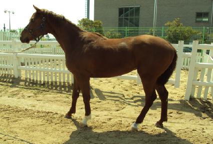 �����ô� ����