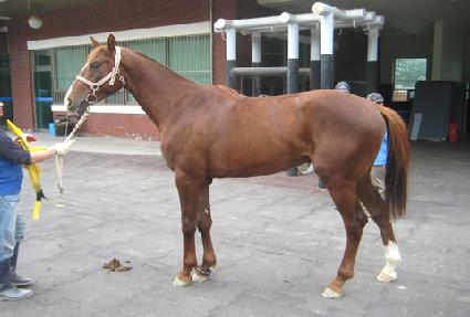 ��Ʈ�հ� ����