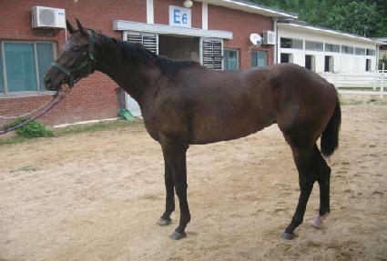 �����̽� ����