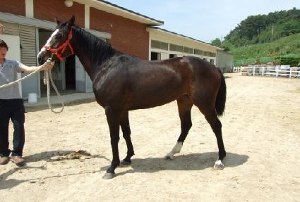 ���̽�ķ�� ����