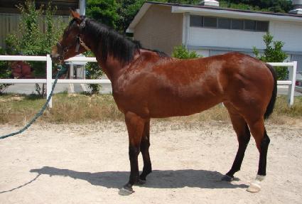 ���� ����