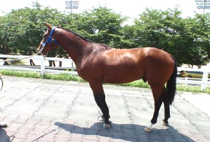 ���ǵ�ӽ� ����