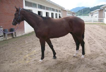 ��Ʋ����Ʈ ����