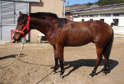 �ܼ��� ����