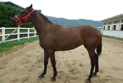 ����Ʈ�� ����