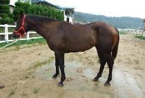 �ο��׸� (LOHENGRIN) ����