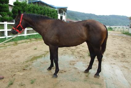 �ο��׸� ����