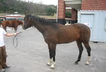 ���θӴ� (PROMONEY) ����