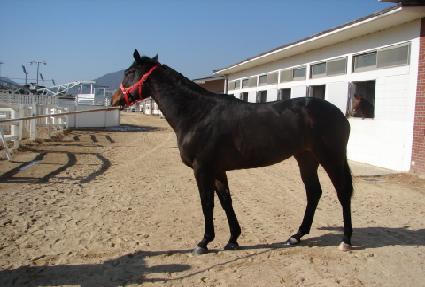 ��ǳ���� ����