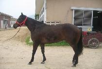 ���յ��� (GOLD MONDAY) ����