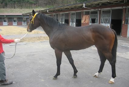 ������ũ�� ����