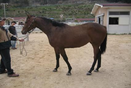 â����ǳ ����