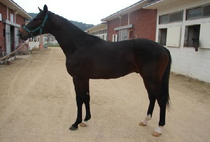 ����ι��� ����