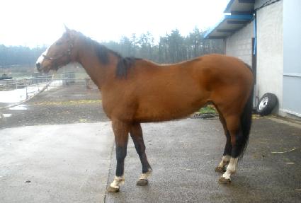 ���̺� ����