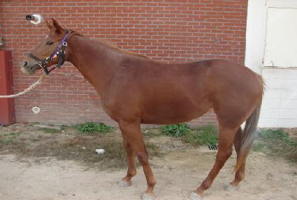 ��¹��� ����