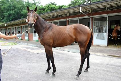 ��½��ǵ� ����