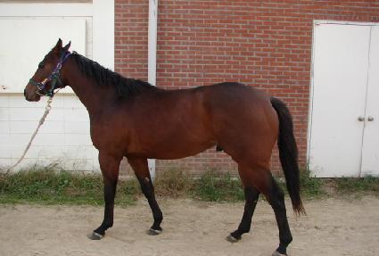 ����̱� ����