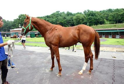 �����̺���� ����