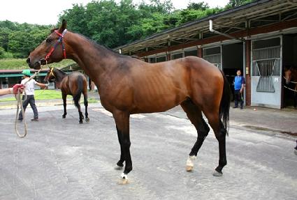 ��¼� ����